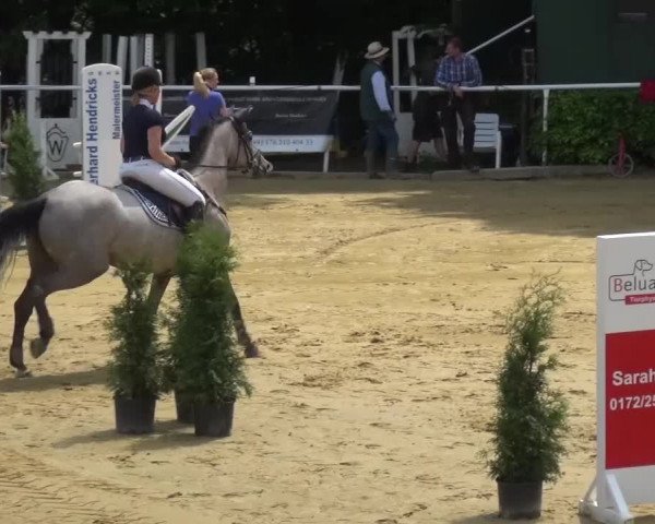Reitturnier Sprockhövel, Auf der Gethe 2016