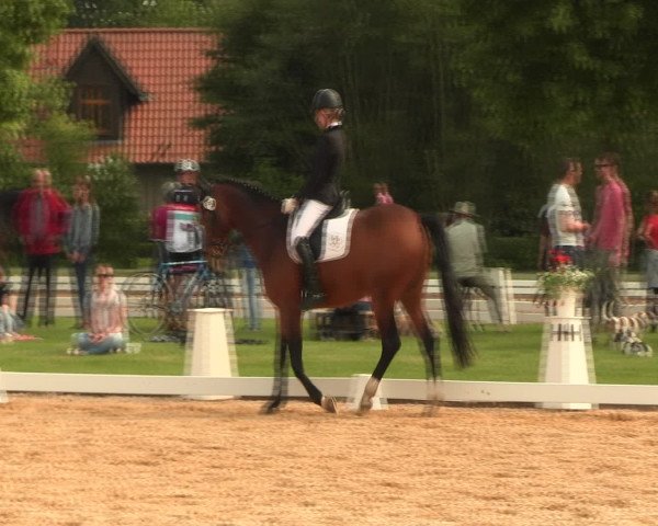 Reitturnier Hille 2016