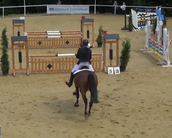 Reitturnier Sprockhövel, Auf der Gethe 2016
