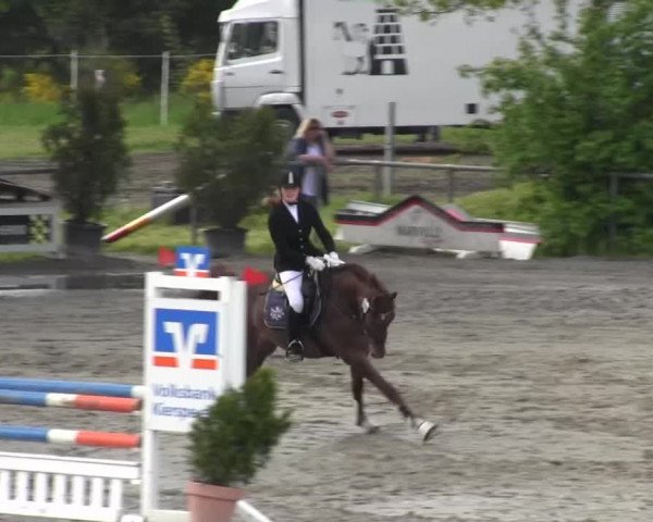 Reitturnier Kierspe-Hohenholten 2016
