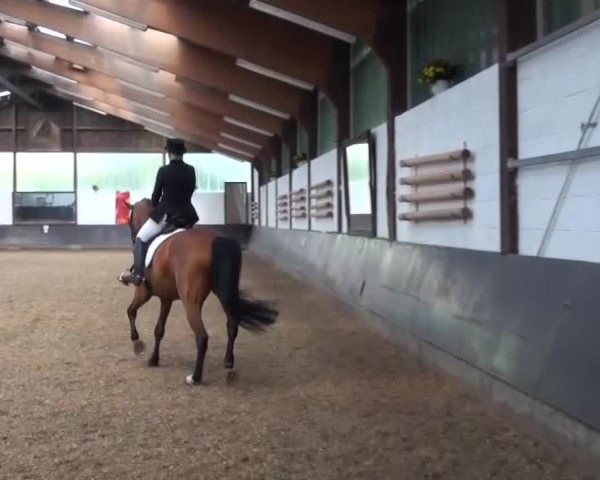Reitturnier Kierspe-Hohenholten 2016