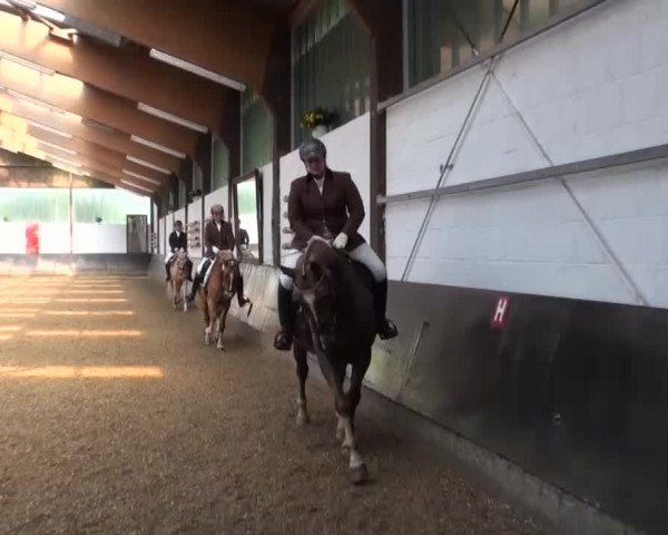 Reitturnier Kierspe-Hohenholten 2016