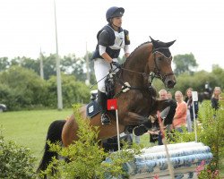 broodmare Daliah 20 (Holsteiner, 2011, from Corrado I)