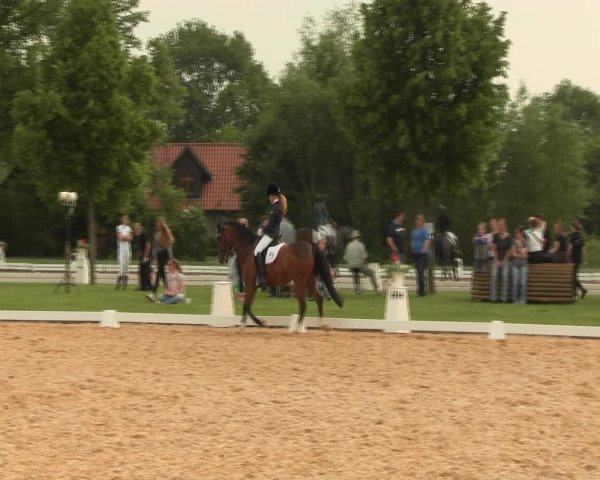Reitturnier Hille 2016