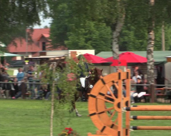 Reitturnier Hille 2016