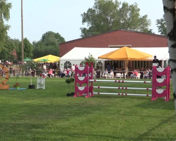 Reitturnier Hille 2016