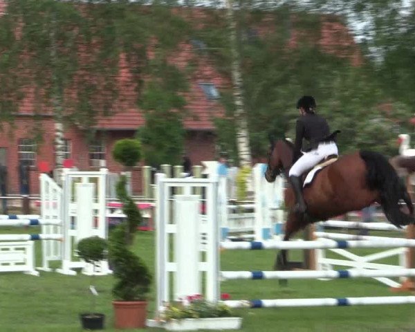 Reitturnier Hille 2016