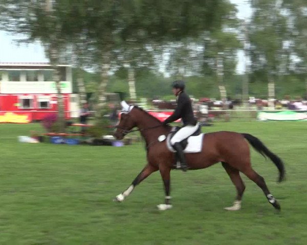 Reitturnier Hille 2016
