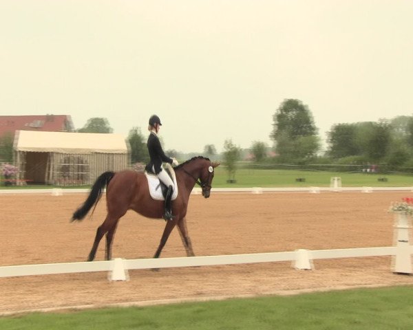 Reitturnier Hille 2016