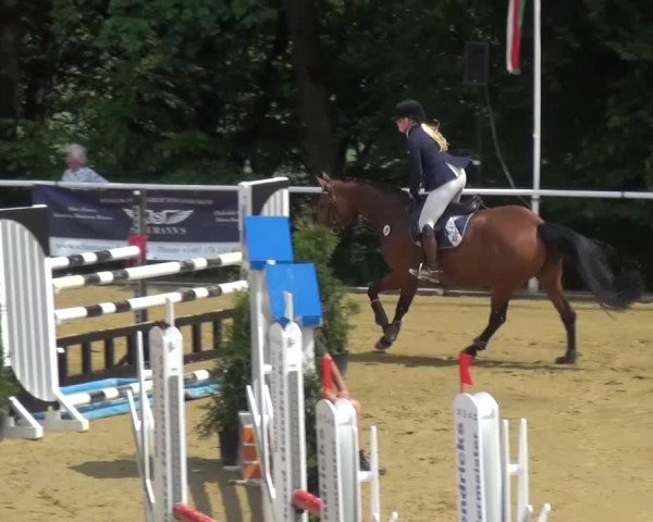 Reitturnier Sprockhövel, Auf der Gethe 2016