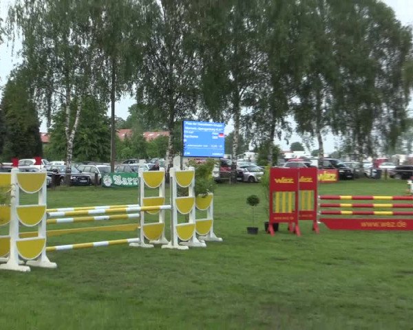 Reitturnier Hille 2016