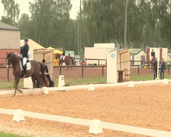 Reitturnier Hille 2016