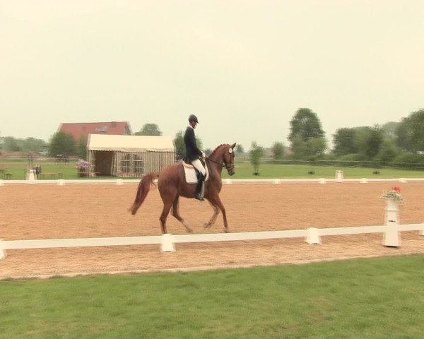 Reitturnier Hille 2016
