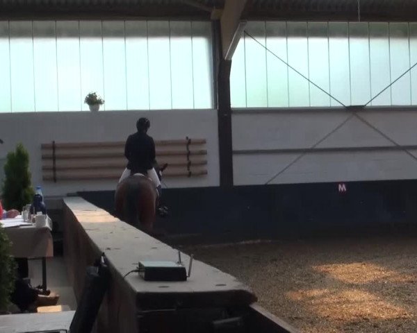 Reitturnier Kierspe-Hohenholten 2016