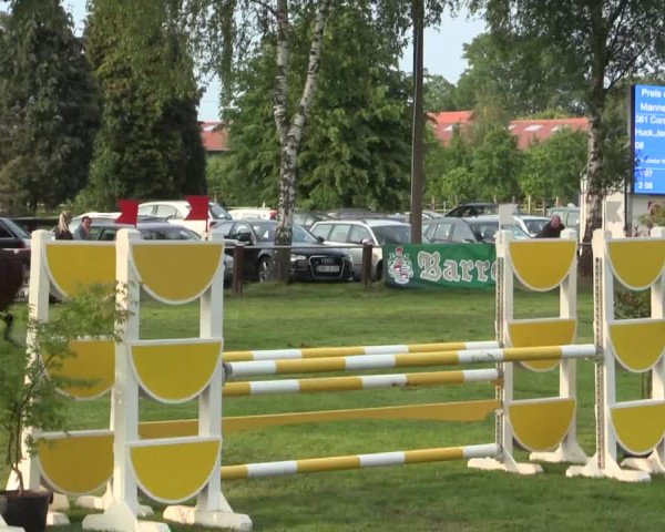 Reitturnier Hille 2016
