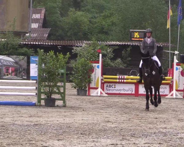 Reitturnier Bissendorf - Gut Stockum 2016