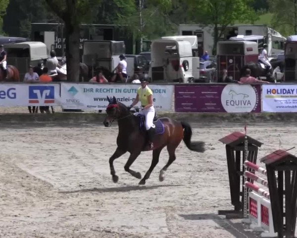 Reitturnier Kierspe-Hohenholten 2016