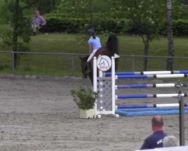 Reitturnier Kierspe-Hohenholten 2016