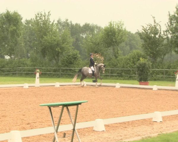 Reitturnier Hille 2016