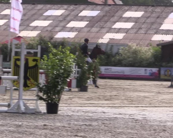 Reitturnier Bissendorf - Gut Stockum 2016