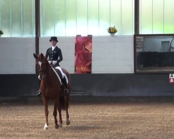 Reitturnier Kierspe-Hohenholten 2016