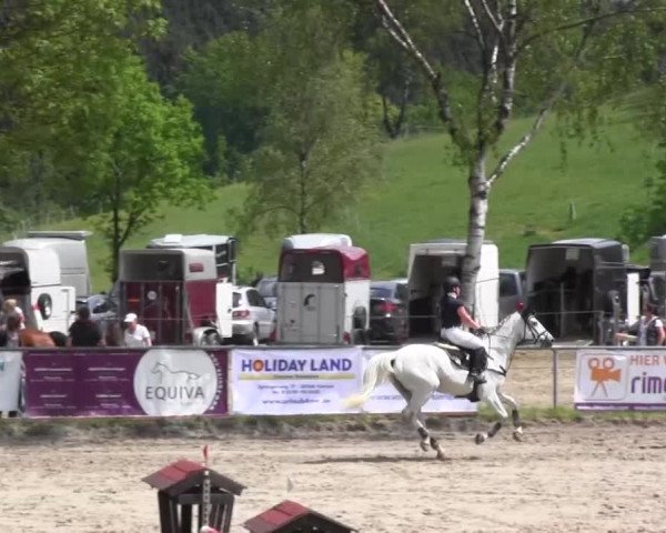 Reitturnier Kierspe-Hohenholten 2016