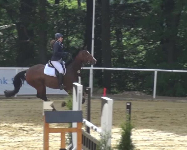 Reitturnier Sprockhövel, Auf der Gethe 2016