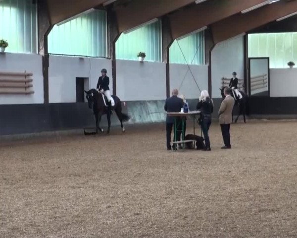 Reitturnier Kierspe-Hohenholten 2016