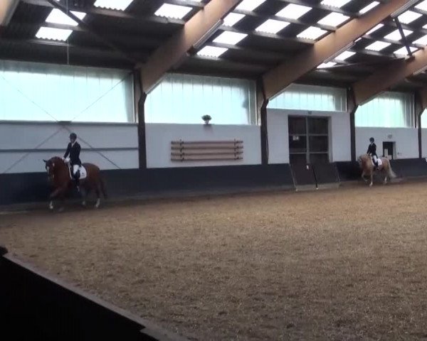 Reitturnier Kierspe-Hohenholten 2016