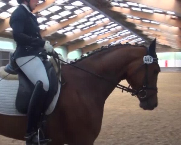 Reitturnier Kierspe-Hohenholten 2016