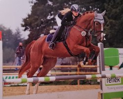 dressage horse Callistano H (Westphalian, 2013, from Colmani)