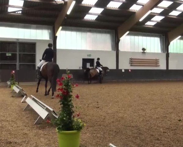 Reitturnier Kierspe-Hohenholten 2016