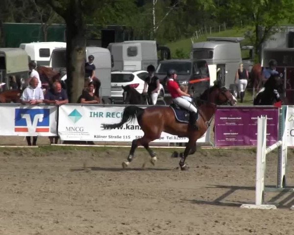 Reitturnier Kierspe-Hohenholten 2016
