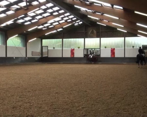 Reitturnier Kierspe-Hohenholten 2016