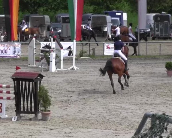 Reitturnier Kierspe-Hohenholten 2016