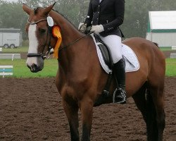 dressage horse Ci-ci (Holsteiner, 2010, from Cardino)
