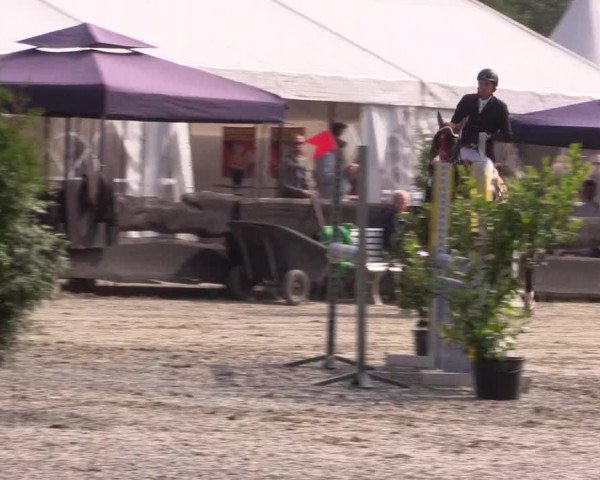 Reitturnier Bissendorf - Gut Stockum 2016