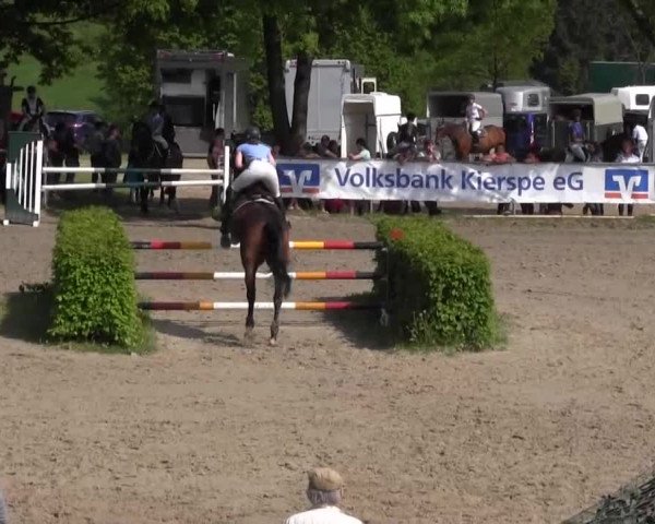 Reitturnier Kierspe-Hohenholten 2016