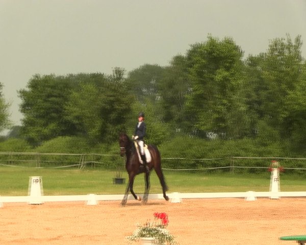 Reitturnier Hille 2016
