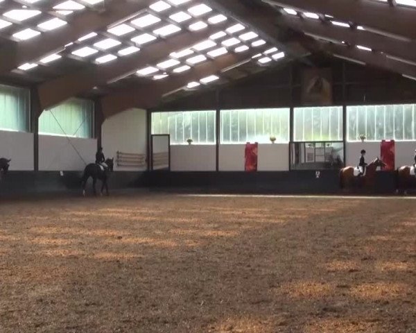 Reitturnier Kierspe-Hohenholten 2016
