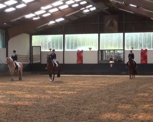 Reitturnier Kierspe-Hohenholten 2016