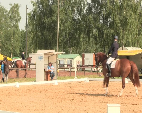 Reitturnier Hille 2016