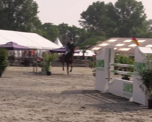 Reitturnier Bissendorf - Gut Stockum 2016