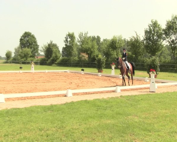 Reitturnier Hille 2016