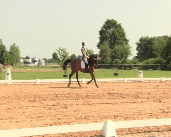 Reitturnier Hille 2016