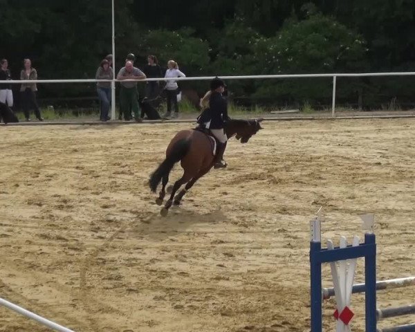 Reitturnier Sprockhövel, Auf der Gethe 2016