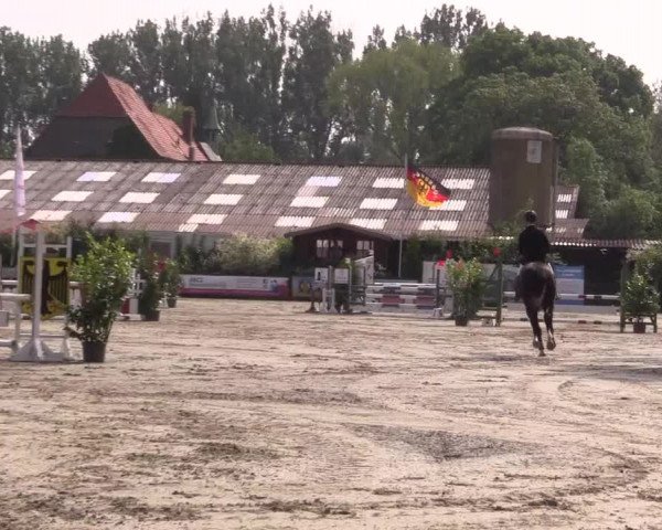 Reitturnier Bissendorf - Gut Stockum 2016