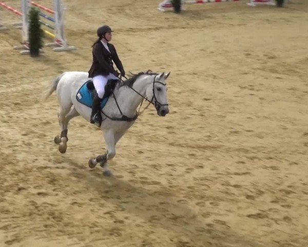 Reitturnier Sprockhövel, Auf der Gethe 2016