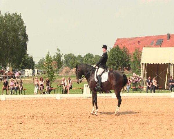 Reitturnier Hille 2016