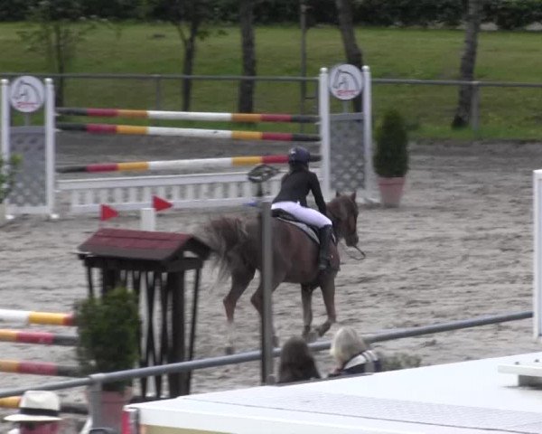 Reitturnier Kierspe-Hohenholten 2016
